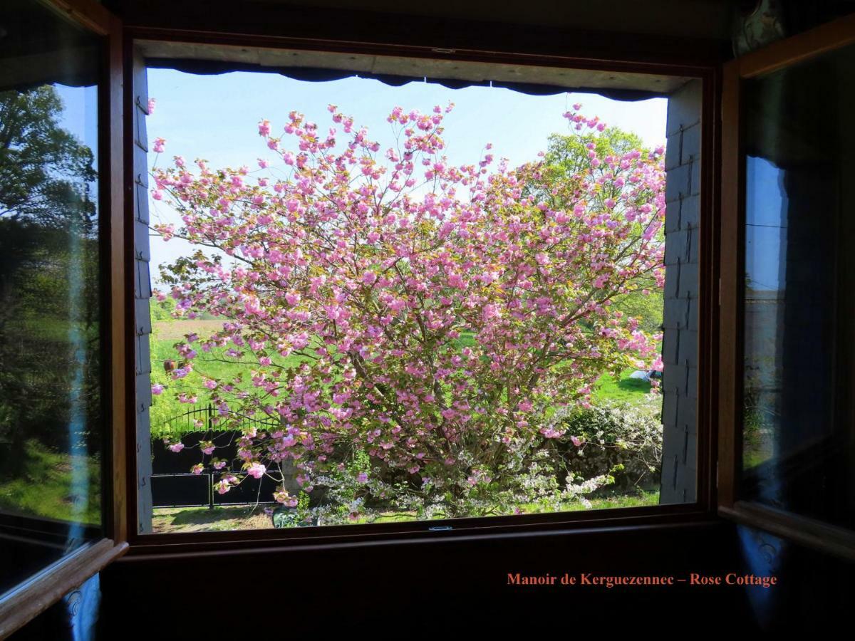 Rose Cottage Pontrieux Zewnętrze zdjęcie