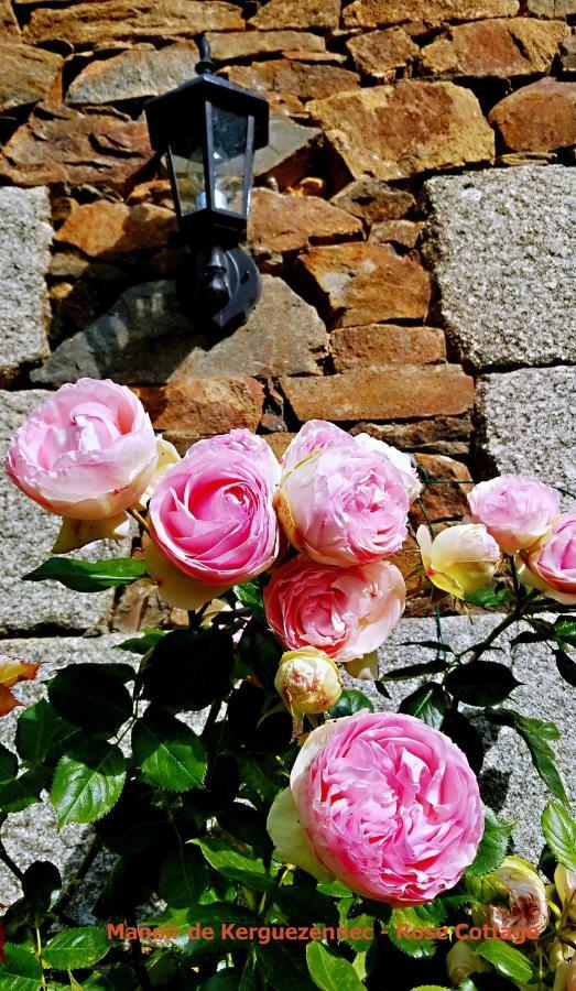 Rose Cottage Pontrieux Zewnętrze zdjęcie